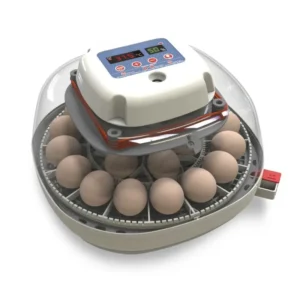 Holds 12-22 Eggs Automatic Turner with Temperature and Humidity Egg Incubator
